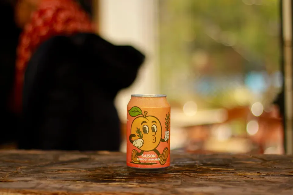 BAPBAP Bisous du Sud saison 12 canettes 33cl abricot