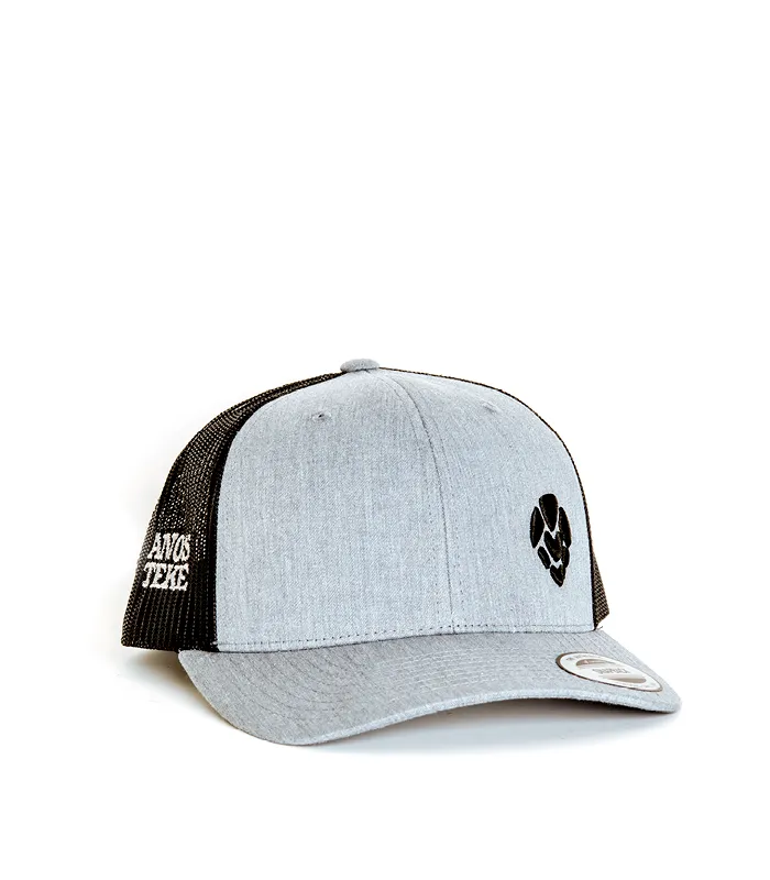 Anosteké Casq’Anosteké casquette grise houblon