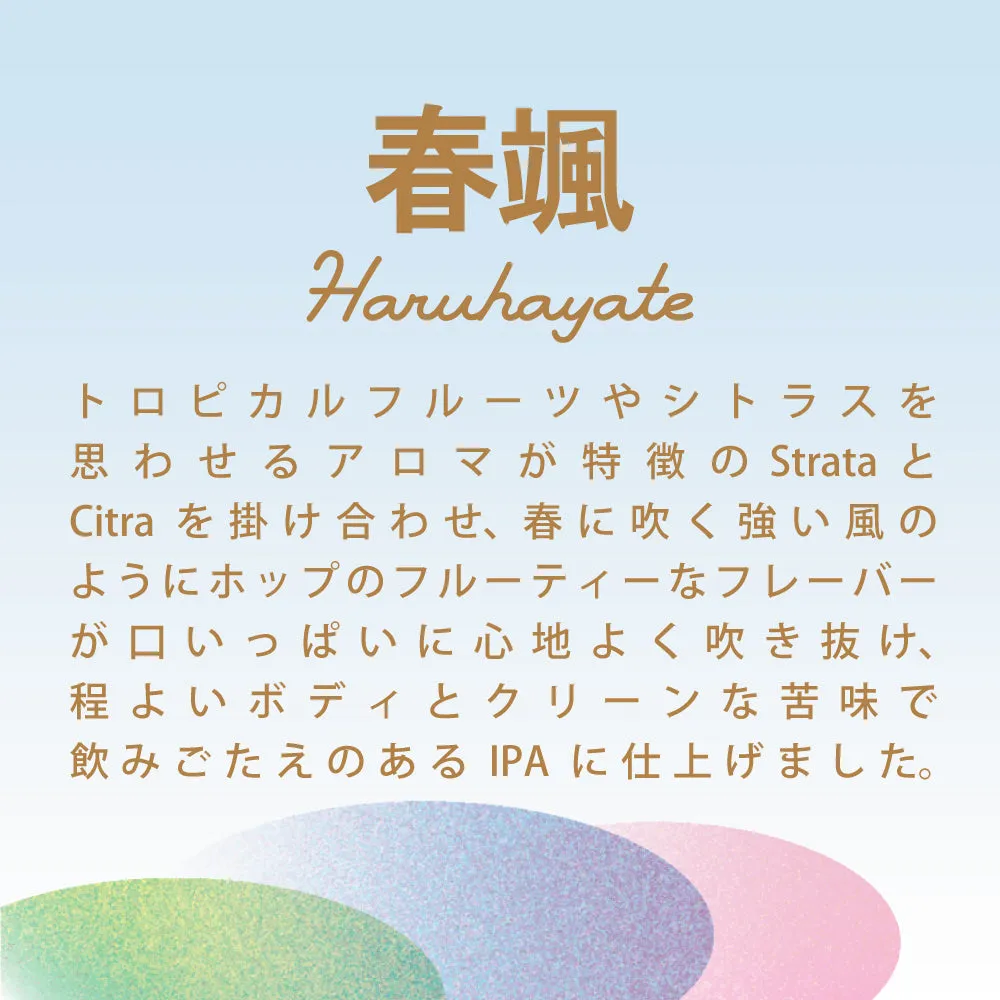 Coedo Haruhayate IPA bière 3 bouteilles Strata Citra