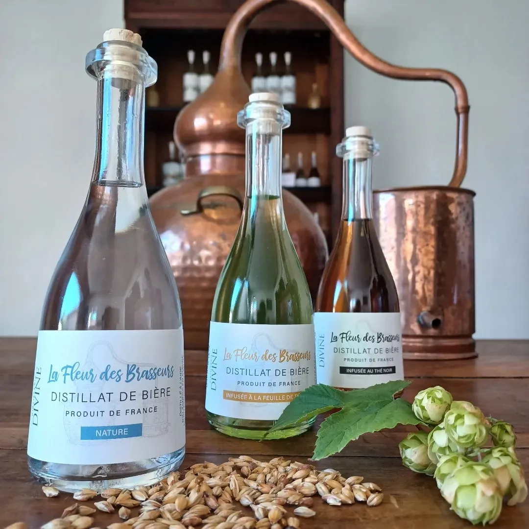 Les Brasseurs de la Vie Atelier distillation découverte