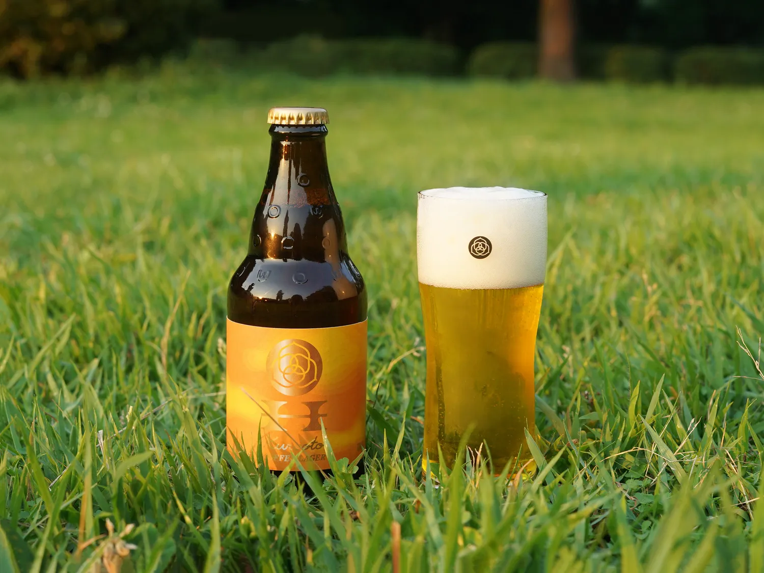 Coedo Kureoto coffee ale bière au café 6 bouteilles légère