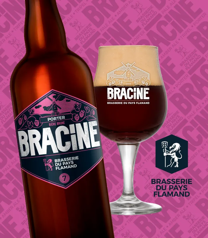 Anosteke Bracine Porter bière 33cl torrefiée