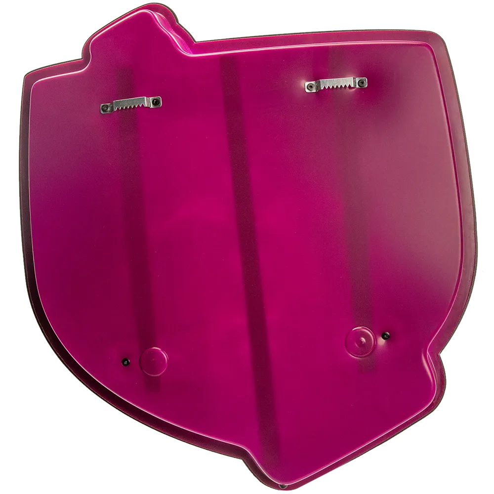 Kasteel Rubus Framboise enseigne LED bouteille 46 cm