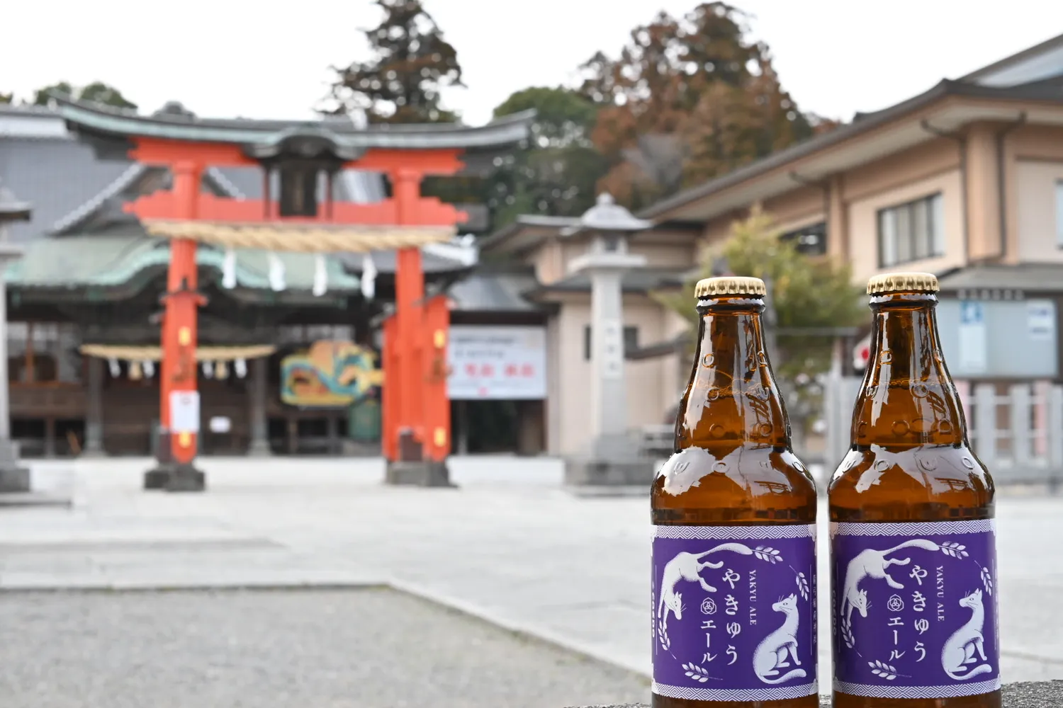 Coedo Yakyu Ale 2024 bière saison riz 6 bouteilles