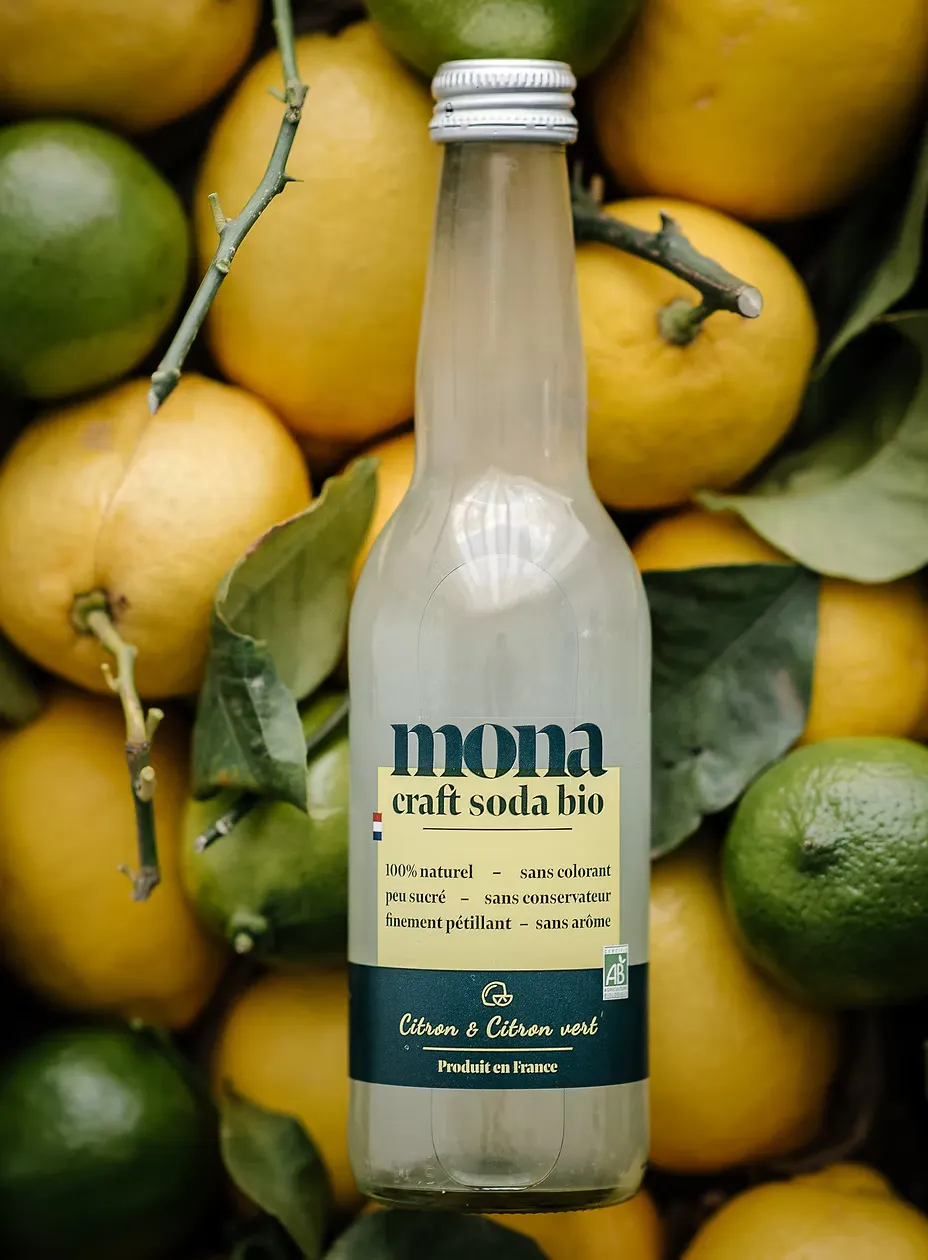 BAPBAP Mona Citron & Citron Vert limonade bio 12x33cl